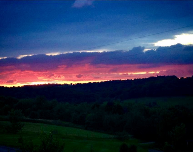 to Red Cottage Hideaway Woodland Cottage Romantice cabin in